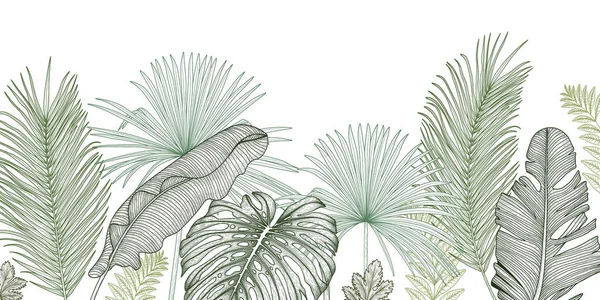 Vektorillustration Des Dschungels Grafische Lineare Grüne Palmen Und Bananenblätter — Stockvektor