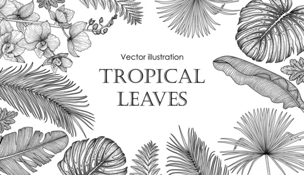 Modelo Banner Ilustração Linear Gráfico Vetorial Com Folhas Tropicais Flores — Vetor de Stock