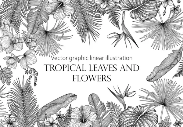 Modèle Bannière Cadre Vectoriel Avec Des Plantes Tropicales Linéaires Graphiques — Image vectorielle