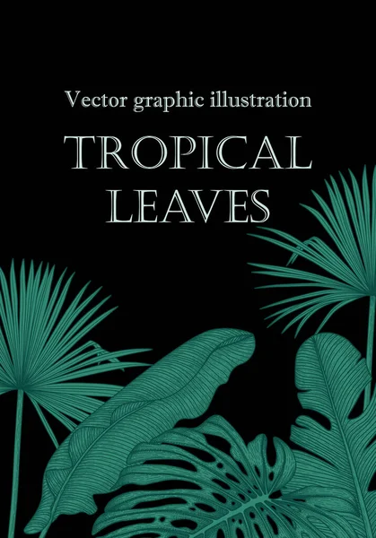 Ilustração Gráfica Vetorial Folhas Palma Tropicais Coloridas Lineares Folhas Banana — Vetor de Stock