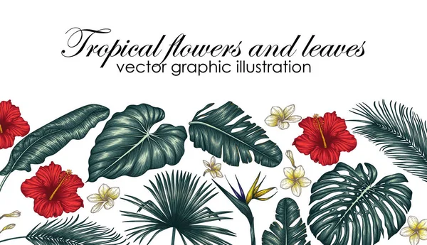 Ilustração Vetorial Flores Folhas Tropicais Coloridas Hibisco Folhas Palma Monstera — Vetor de Stock