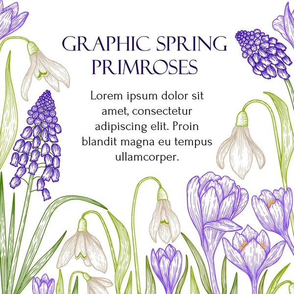 Vektor Illustration Grafik Farbe Lineare Frühlingsprimeln Schneeglöckchen Krokusse Muscari — Stockvektor