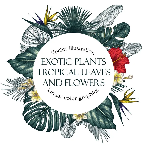 Векторный Шаблон Тропическими Растениями Рамка Графических Линейных Цветных Экзотических Цветов — стоковый вектор