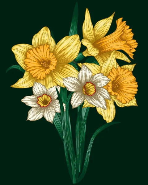 Vetor Ilustração Gráfico Cor Buquê Flores Narcisos — Vetor de Stock