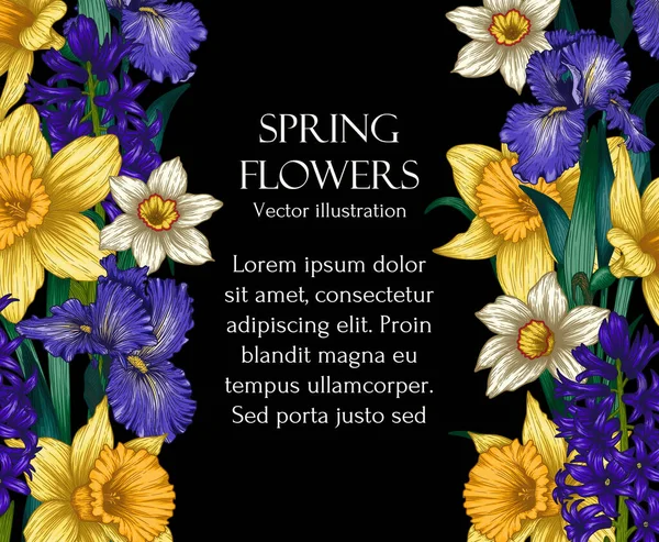 Vector Illustratie Banner Sjabloon Met Grafische Lineaire Gekleurde Bloemen Narcissen — Stockvector