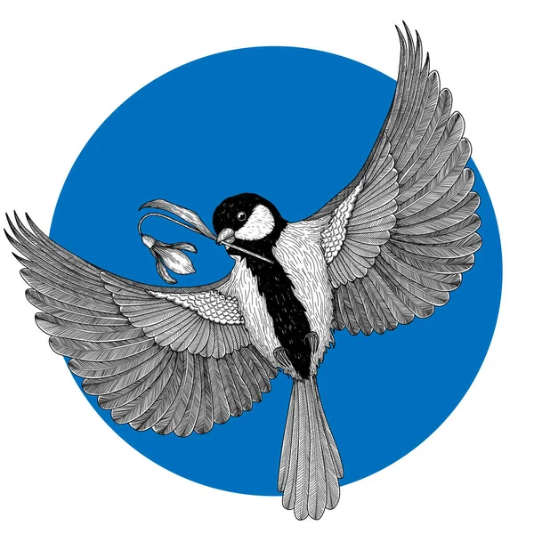 Vector Illustration Graphic Linear Bird Tit Flight Snowdrop Flower — Wektor stockowy
