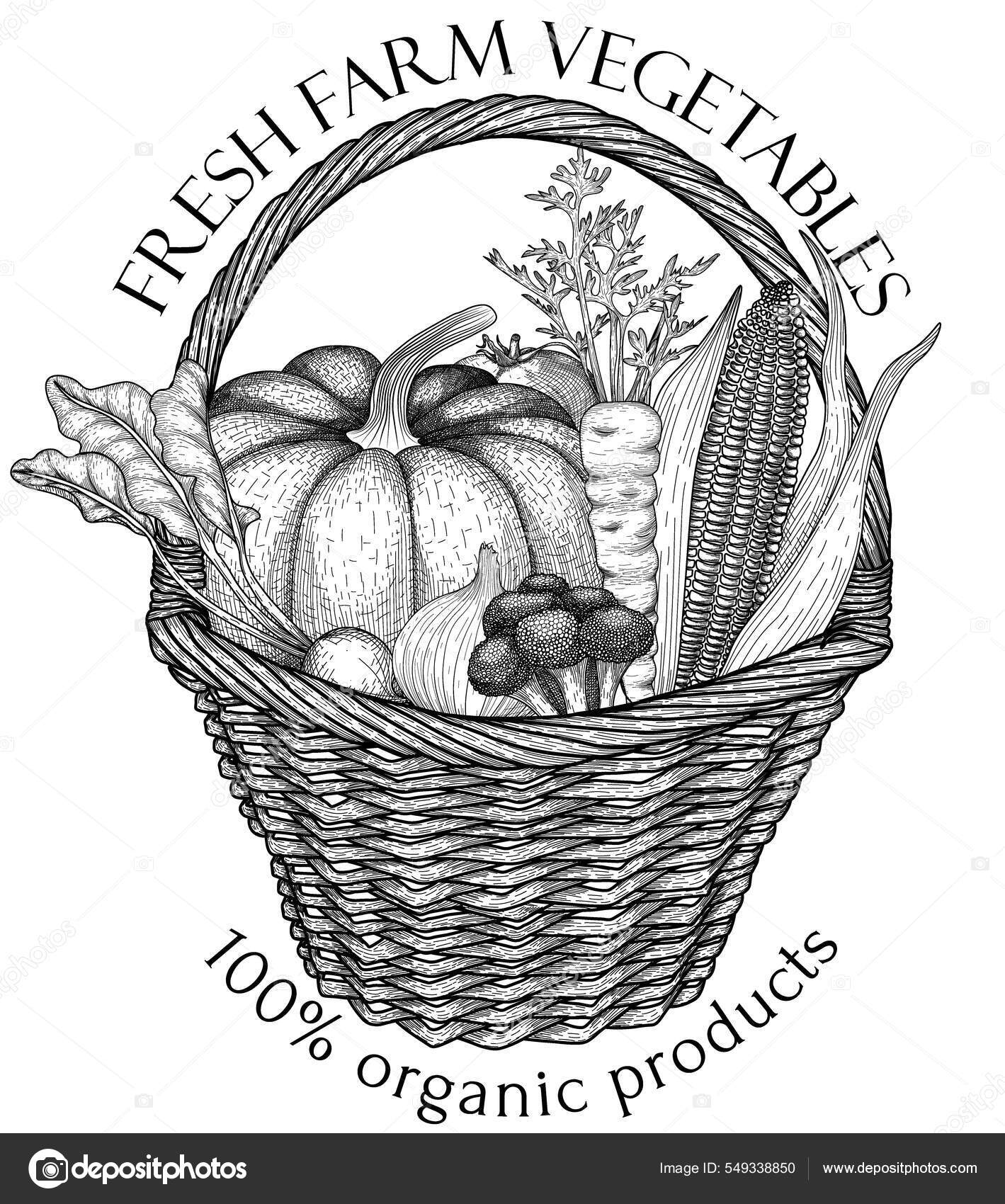 Vegetable Basket Drawing Clipart AI Generated 24282450 PNG-saigonsouth.com.vn