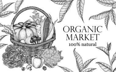  Sebze ve yaprak hasadı içeren bir sepetli taşıyıcı pankart şablonu. Grafik doğrusal hasır sepet, balkabağı, mısır, havuç, brokoli, soğan, domates, turp, lahana, karnabahar, çan biberi.