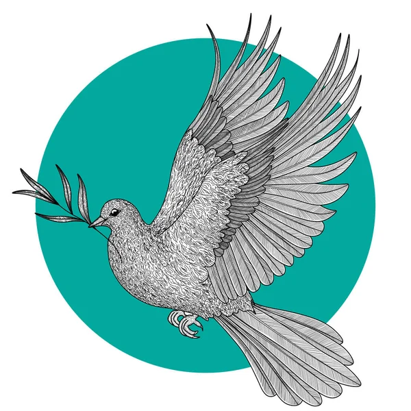 Illustration Vectorielle Pigeon Linéaire Graphique Avec Une Branche Olivier Dans — Image vectorielle