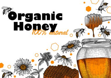  Organik ballı vektör illüstrasyon afişi. Grafik doğrusal bal kavanozu, bal kavanozu, yonca ve papatya çiçekleri, arılar, bal peteği