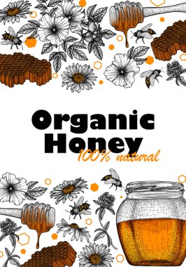  Vektör şablonu çizimi. Grafik doğrusal bal kavanozu, bal kavanozu, arılar, papatya, bal peteği, yonca, yonca, oymacılık tarzında yabani gül.