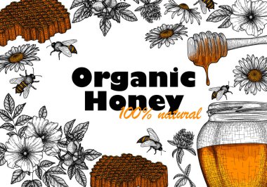 Vektör çerçeve şablonu. Ballı grafiksel doğrusal kavanoz, bal kovası, arılar, papatya, bal peteği, yonca, yabani gül