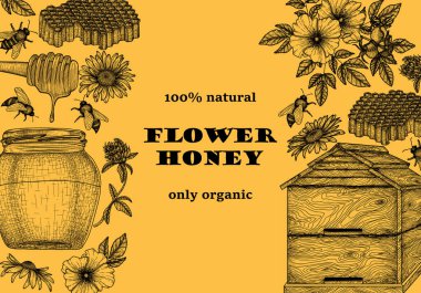  Vektör çizim şablonu. Grafiksel doğrusal elementler. Arılar, papatya ve yonca çiçekleri, böğürtlenli yabani gül, bal kavanozu, bal kovanı, bal peteği, arı kovanı