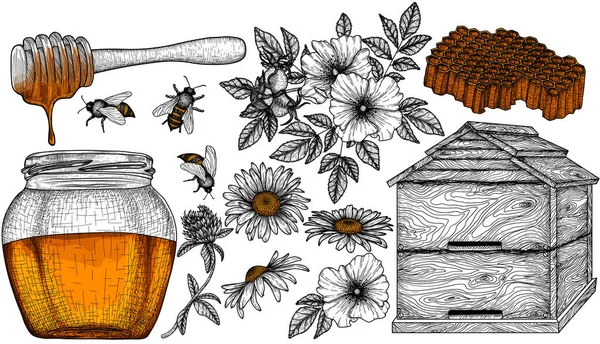 Vektor Illustration Uppsättning Friska Honung Grafiska Linjära Element Honungsburk Honungsdipper — Stock vektor