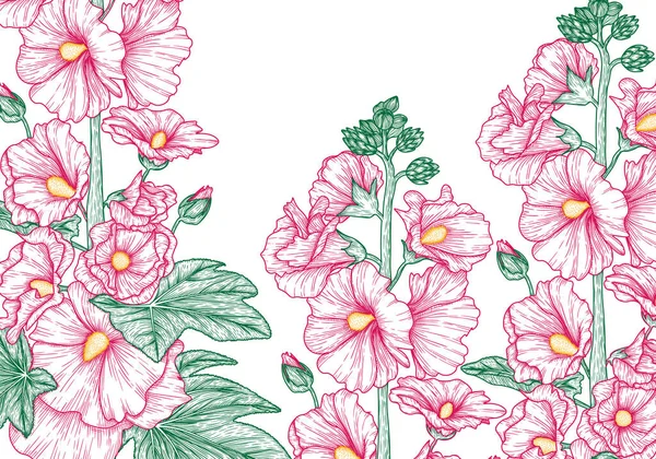 Vector Illustration Hollyhock Flowers Leaves — Stock Vector