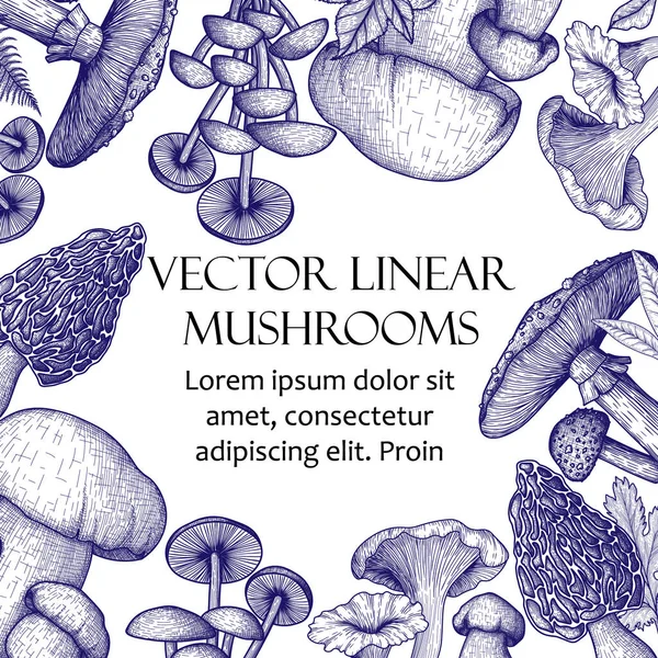 Moldura Vetorial Estilo Gravura Agaric Linear Gráfico Mosca Chanterelles Fungo —  Vetores de Stock