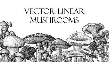  Oyma tarzında orman mantarlarının vektör çizimi. Lineer grafik sinek agarik, chanterelles, porcini mantar, bal agarics, moreli, mycenae, russula, boletus