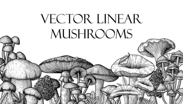  Oyma tarzında orman mantarlarının vektör çizimi. Lineer grafik sinek agarik, chanterelles, porcini mantar, bal agarics, moreli, mycenae, russula, boletus