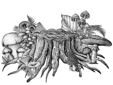  Kabartma tarzında kütüğün yanındaki mantarların vektör çizimi. Lineer grafik sinek agarik, chanterelles, porcini mantarları, bal mantarları, morel, mycena, russula, boletus