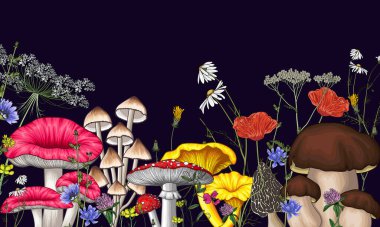 Vector illustration of a forest of mushrooms and wildflowers. Amanita, chanterelles, chamomile, white mushroom, clover, poppy, morels, mycena, dandelion, russula clipart