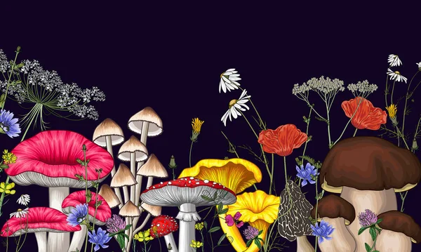 Mantar ve kır çiçeklerinden oluşan bir ormanın vektör çizimi. Amanita, chanterelles, papatya çayı, beyaz mantar, yonca, haşhaş, morel, micena, karahindiba, russula