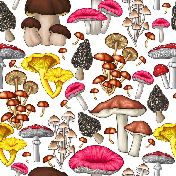 Seamless Vector Pattern Mushrooms White Background Fly Agaric Chanterelles Porcini —  Vetores de Stock