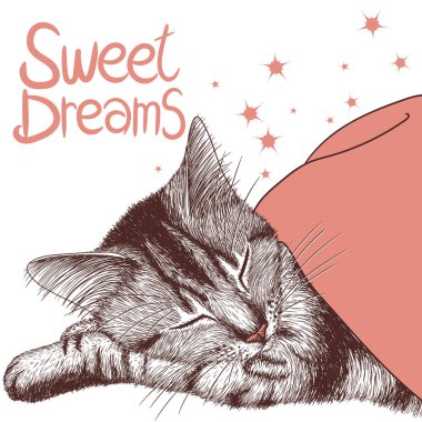  Grafik doğrusal tekir kedisi oymacılık tarzında battaniyenin altında uyuyor