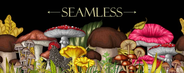  Kusursuz yatay vektör desenli mantar ormanı oyma tarzında. Çizgisel doğrusal sinek agariği, chanterelles, porcini mantarları, bal mantarları, morel, mycena, russula, boletus