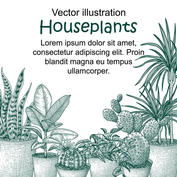 Vektor Ilustrasi Tanaman Rumah Dalam Gaya Engraving Graphic Linear Dracaena - Stok Vektor