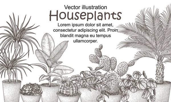 Vektor Ilustrasi Tanaman Rumah Dalam Pot Dengan Gaya Engraving Graphic - Stok Vektor