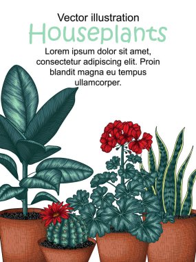  Vektör pankartı ev bitkilerinin oyma stilini gösteriyor. Grafik doğrusal kaktüs lobisi, sansevieria, fius, sardunya