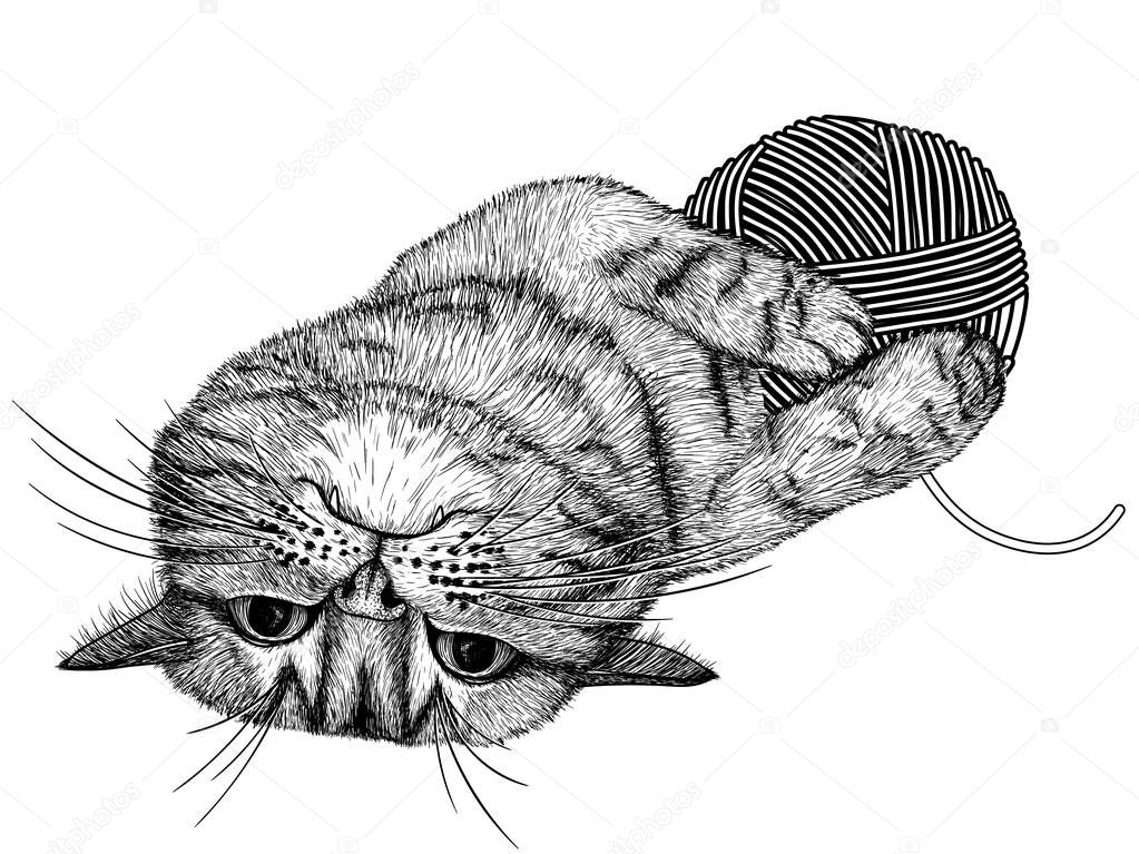 Vector illustration of a striped cat playing with a ball of thread in the style of engraving