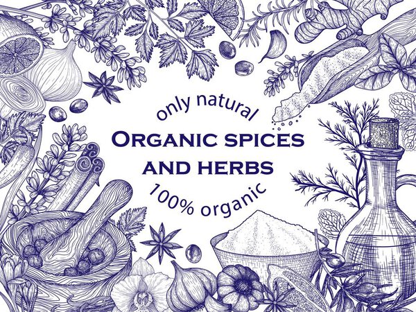  Векторная рама специй и трав. Розмарин, перец, лаванда, анис, корица, лук, мята, лимон, чили, карри, петрушка, чеснок, укроп, карри, имбирь, шафран, базилик, ваниль, оливковое масло