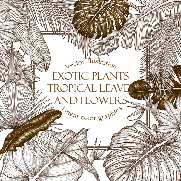 Moldura Vetorial Plantas Tropicais Gráficas Lineares Douradas Strelitzia Folhas Palma — Vetor de Stock