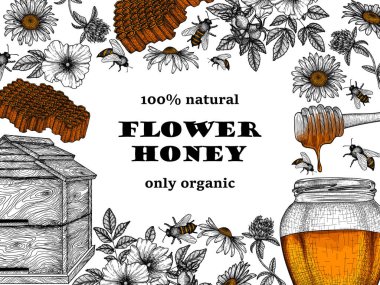  Oymacılık tarzında vektör çerçevesi. Grafik doğrusal arılar, papatya ve yonca çiçekleri, böğürtlenli yabani gül, bal kavanozu, bal kovanı, bal peteği, arı kovanı