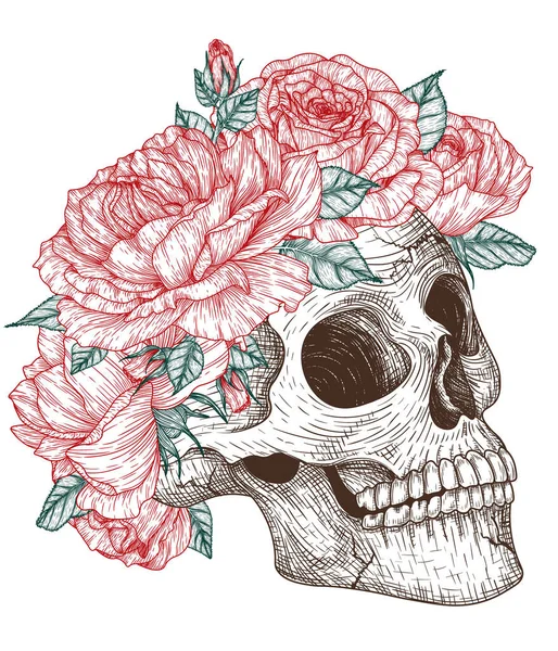 Ilustração Vetorial Crânio Humano Uma Coroa Rosas Estilo Gravura — Vetor de Stock