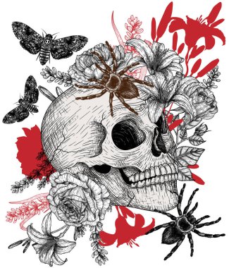  Örümcekler ve güveler kabartma stilinde renklerle insan kafatasının vektör çizimi