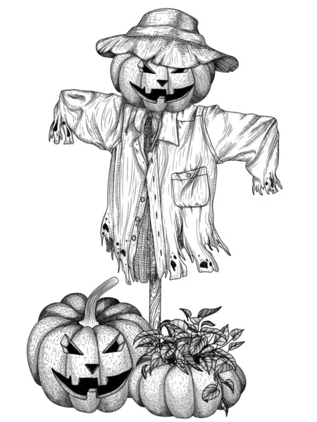 Vector Illustration Garden Scarecrow Pumpkin Engraving Style — Vetor de Stock