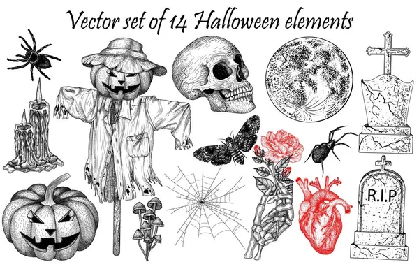 Vector Set Halloween Elements Engraving Style Graphic Linear Skull Carved — 스톡 벡터