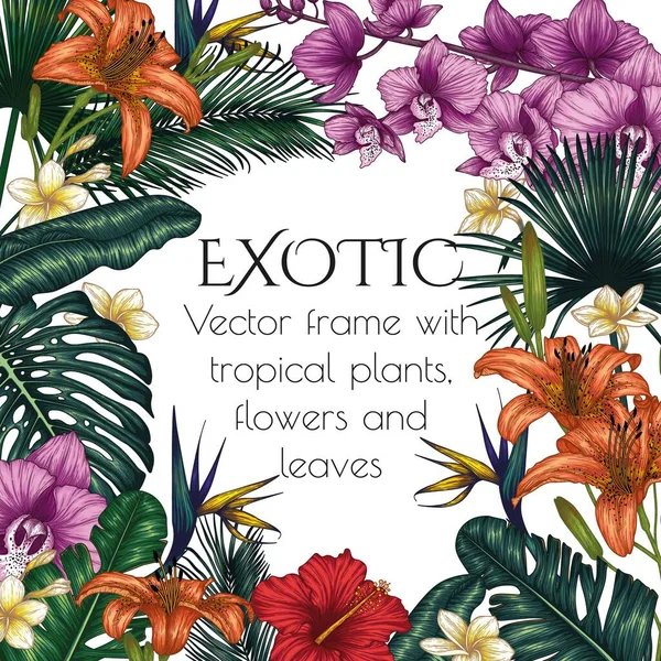 Vector Illustration Frame Made Exotic Plants Graphic Linear Colored Tropical — стоковый вектор