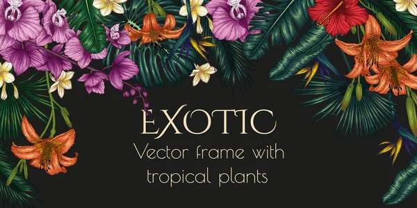 Vector Banner Template Exotic Plants Graphic Linear Colored Tropical Flowers — стоковий вектор