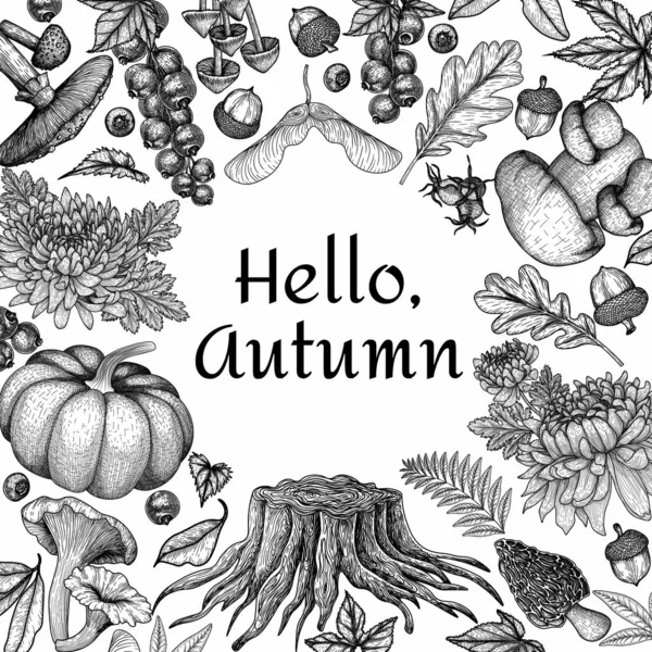 Vector Autumn Illustration Engraving Style Graphic Linear Pumpkin Currant Stump — Stockvektor