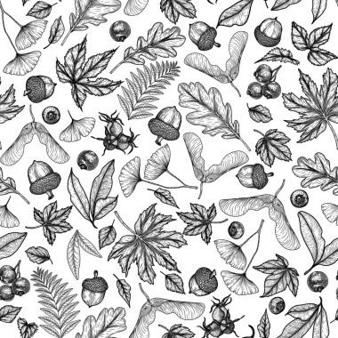  Seamless vector pattern with autumn foliage in engraving style. Graphic linear oak leaf, acorns, berries, maple leaves, thorn, ginkgo