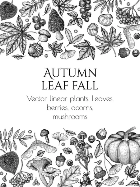 Vector Banner Template Autumn Woodcut Style Oak Leaf Acorns Berries — Stockvektor