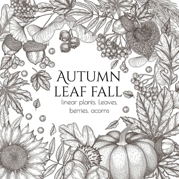 Vector Autumn Banner Template Engraving Style Graphic Linear Oak Leaf — Stockvector