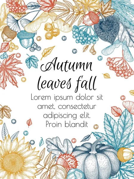 Vector Autumn Banner Template Engraving Style Graphic Linear Oak Leaf — Stockvektor