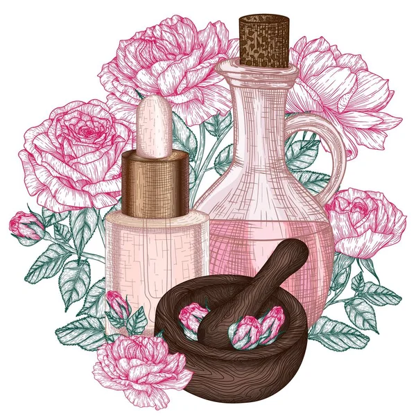 Vector Illustration Oil Rose Stele Engraving Cosmetic Oil Bottle Extract — Wektor stockowy