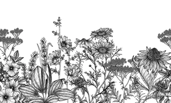 Seamless Horizontal Pattern Garden Medicinal Plants Style Engraving Linear Graphic — Vetor de Stock