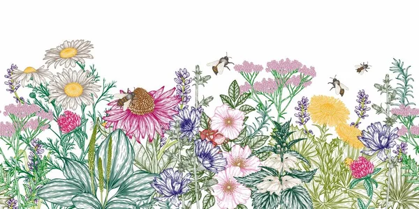 Seamless Horizontal Vector Pattern Medicinal Herbs Bees Engraving Style Linear — Διανυσματικό Αρχείο