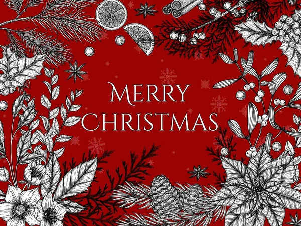  İşleme tarzında yılbaşı bitkileriyle vektör çerçevesi. Noel ağacı koni, ardıç, çam, kutsal, thuja, ökseotu, karahşap, köpek ağacı, noktalı ağaç dalı